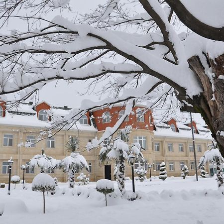 Vilesh Palace Hotel มาซาลเลอ ภายนอก รูปภาพ