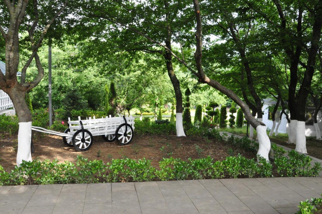 Vilesh Palace Hotel มาซาลเลอ ภายนอก รูปภาพ