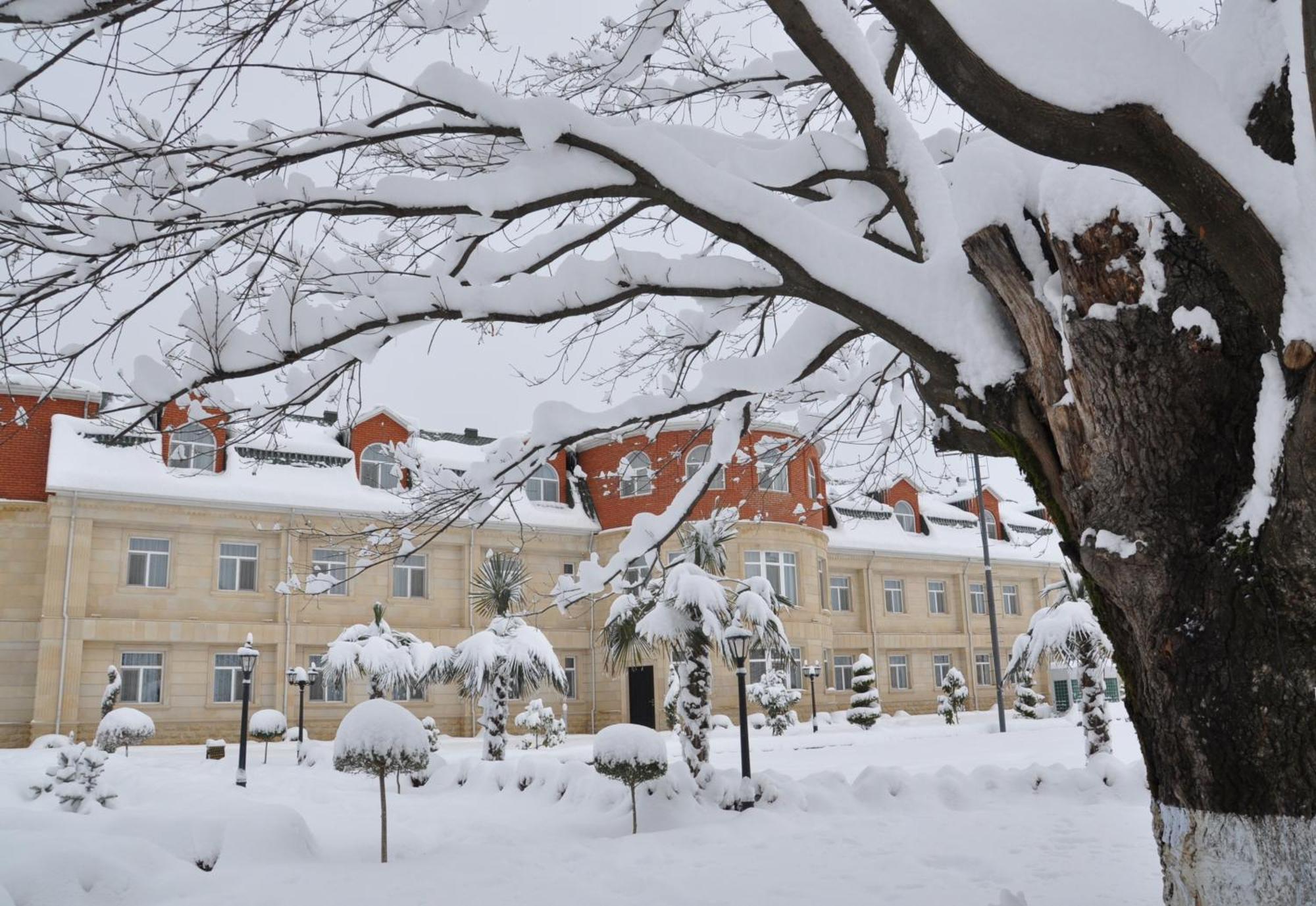 Vilesh Palace Hotel มาซาลเลอ ภายนอก รูปภาพ